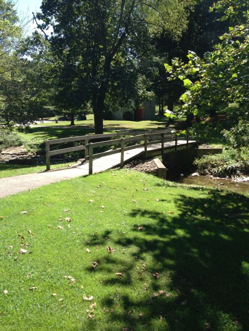 A wooden bridge crosses a small stream in a lush green park, surrounded by trees and sunlight.