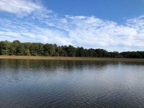 A calm lake reflects a blue sky with scattered clouds, surrounded by lush green trees along the shoreline.