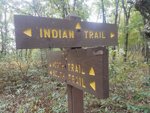 Wooden signpost in a forest indicating directions to Indian Trail, North Trail, and South Trail.
