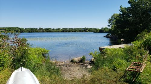 A serene view of a calm lake surrounded by greenery and a small boat on the shore under a clear blue sky.