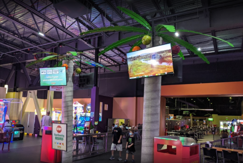 Two large palm trees with colorful fruits stand in an arcade, featuring a screen displaying a scenic landscape.