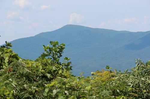 A distant mountain peak rises above lush green foliage under a clear blue sky.