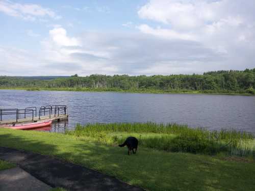 A serene lakeside view with a dog on the grass, a dock, and a kayak in the water under a partly cloudy sky.