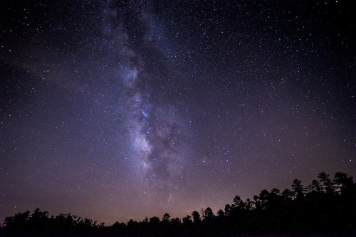 A stunning night sky filled with stars and the Milky Way, silhouetted by dark tree outlines at the bottom.