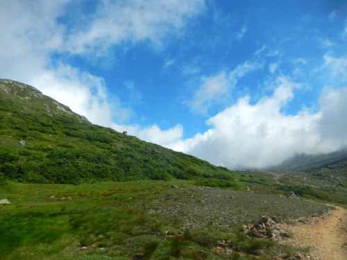 A scenic landscape featuring a grassy hillside under a blue sky with clouds, leading to a rocky path.