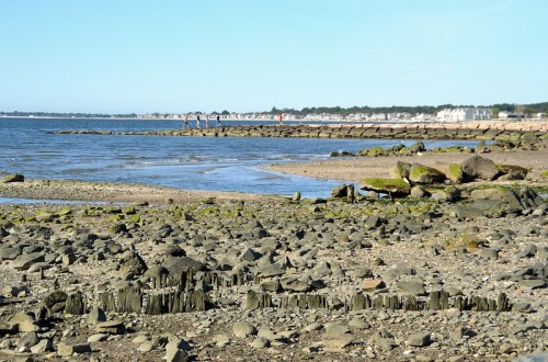 A rocky shoreline with calm water, distant buildings, and a clear blue sky.