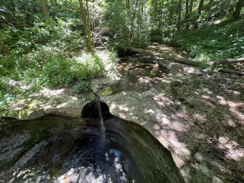 A small stream flows from a rocky outcrop into a lush, green forested area with trees and underbrush.