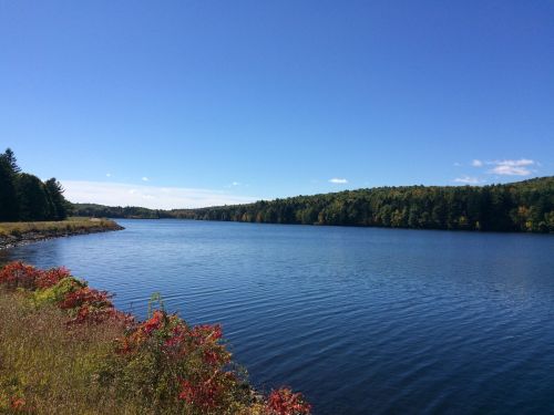 A serene lake surrounded by trees, with clear blue skies and colorful foliage along the shore.
