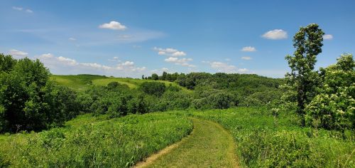 A winding path through lush green fields and trees under a bright blue sky with fluffy white clouds.