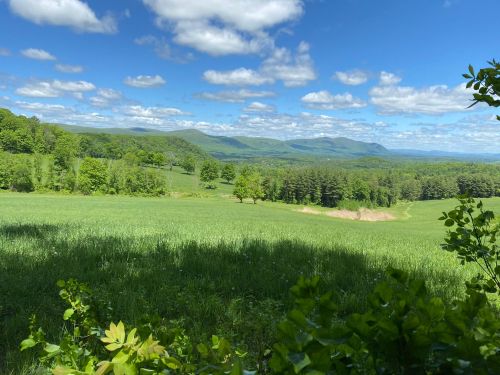 A lush green landscape with rolling hills under a bright blue sky dotted with fluffy white clouds.