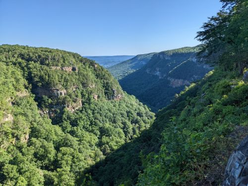 A lush green valley surrounded by steep cliffs under a clear blue sky.