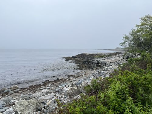 A foggy shoreline with rocky outcrops and sparse greenery along the water's edge.