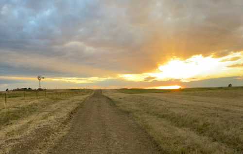 A dirt road stretches through a grassy field, leading to a sunset with vibrant colors and a windmill in the distance.