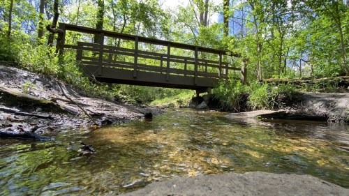 A wooden bridge spans a clear stream surrounded by lush green trees and foliage in a serene natural setting.