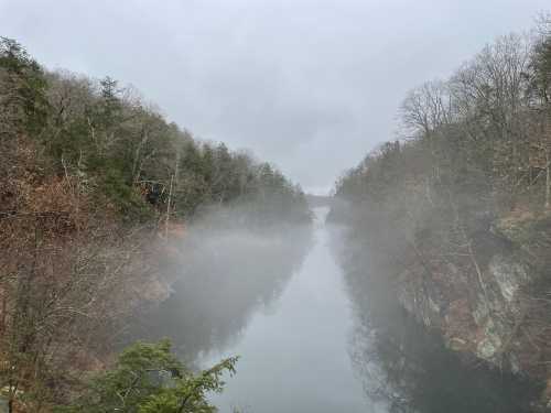 A misty river flows between tree-lined banks, surrounded by fog and bare branches on a cloudy day.