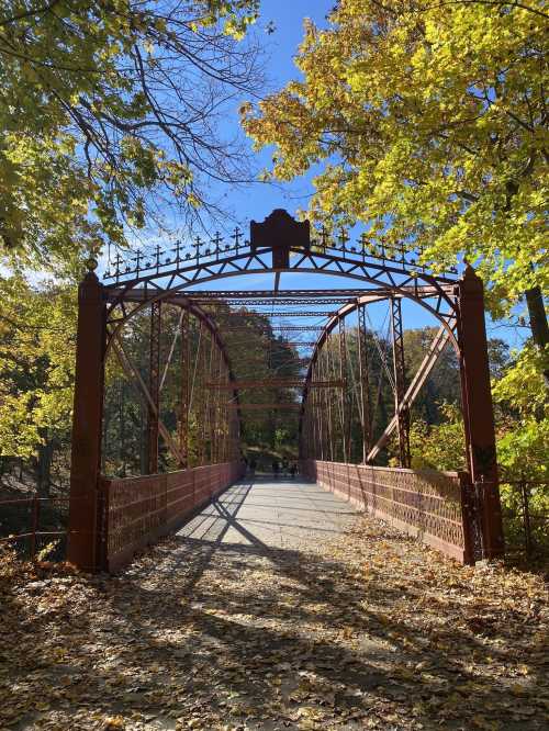 A red iron bridge surrounded by autumn trees and fallen leaves under a clear blue sky.