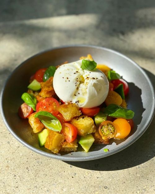 A bowl of fresh salad with colorful tomatoes, cucumbers, crispy bread, and a creamy burrata topped with basil.