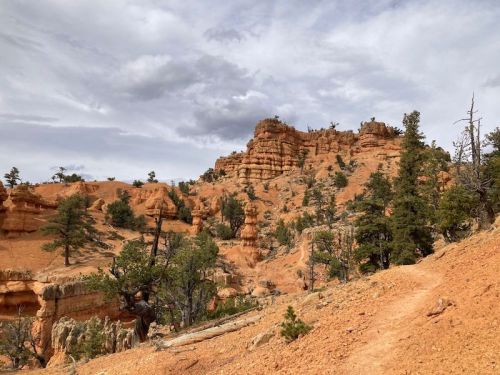 A rugged landscape featuring orange rock formations, scattered trees, and a cloudy sky in the background.