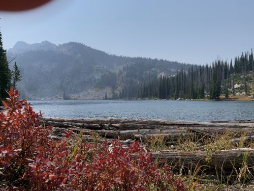 A serene lake surrounded by mountains and evergreen trees, with red foliage in the foreground.