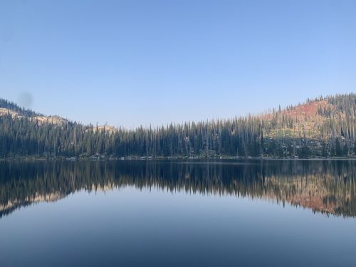 A serene lake reflecting pine-covered hills under a clear blue sky.