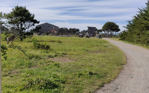 A dirt path leads through a grassy area with trees, buildings, and parked vehicles in the background under a blue sky.