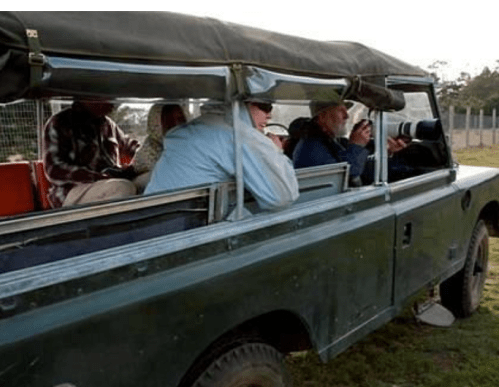 A group of people sitting in the back of a green safari vehicle, enjoying the outdoors.