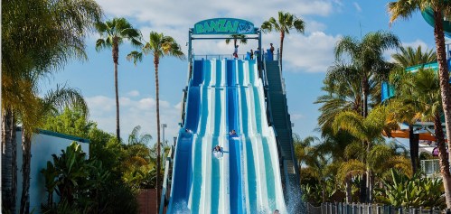 A tall water slide with blue and white stripes, surrounded by palm trees and a clear blue sky.