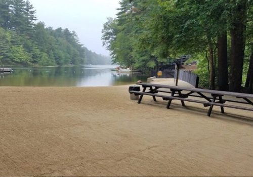 A serene lakeside view with a sandy shore, surrounded by trees and a calm water surface. Benches are visible in the foreground.