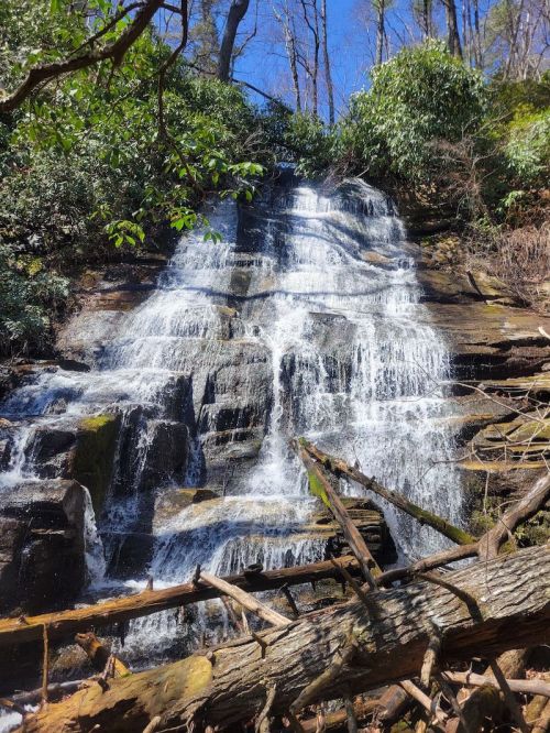 A cascading waterfall flows over rocky terrain, surrounded by lush greenery and fallen branches.