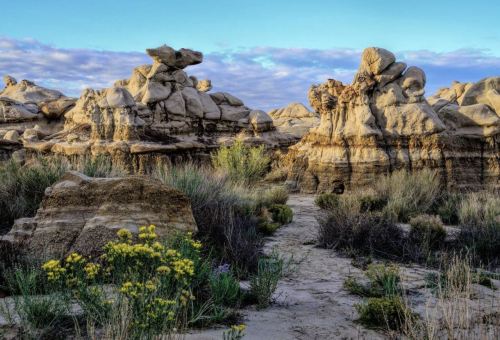 A rocky landscape with unique formations and patches of green vegetation and yellow flowers under a blue sky.