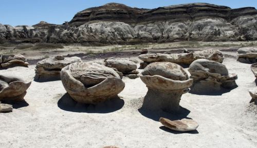 Bizarre rock formations resembling giant clams in a dry, arid landscape under a clear blue sky.