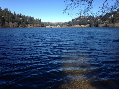 A serene lake surrounded by trees and hills under a clear blue sky. Gentle waves ripple across the water's surface.