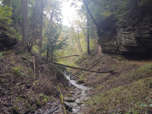 A serene forest scene featuring a creek, rocky cliffs, and fallen trees amidst lush greenery.