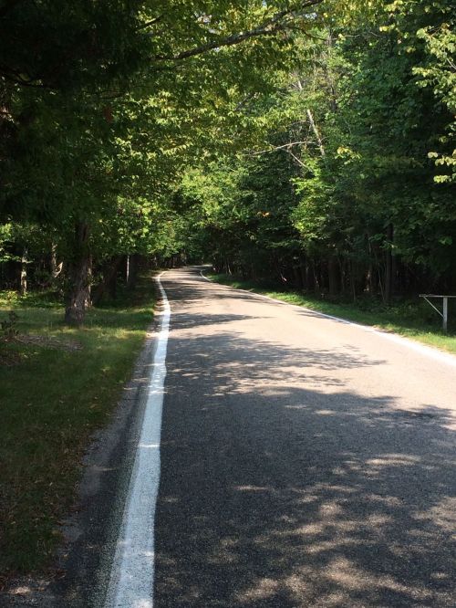 A winding road surrounded by lush green trees and dappled sunlight.