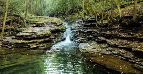 A serene forest scene featuring a small waterfall cascading over rocky terrain into a clear pool.