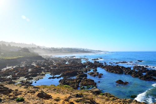 A serene coastal landscape featuring rocky shores, clear blue water, and a bright sky with distant hills.