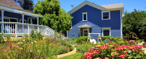 A vibrant garden with colorful flowers surrounds a blue house and porch on a sunny day.
