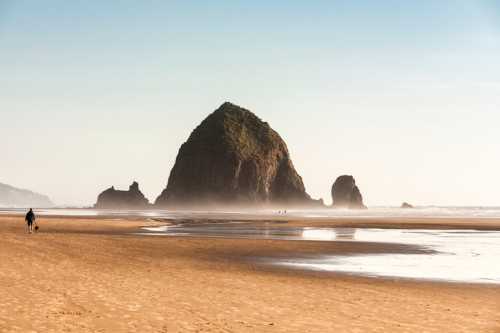 A person walks a dog along a sandy beach with a large rock formation in the background under a clear sky.