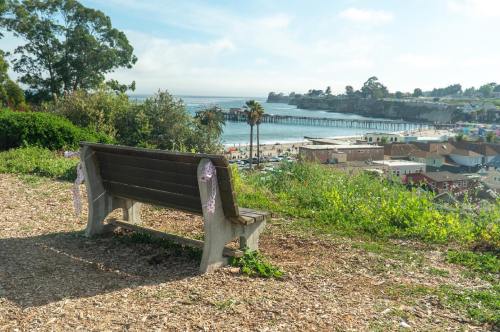 A wooden bench overlooks a beach and pier, surrounded by greenery and colorful houses under a clear sky.
