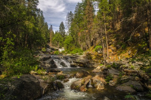 A serene forest scene featuring a flowing river, rocky banks, and lush greenery under a partly cloudy sky.