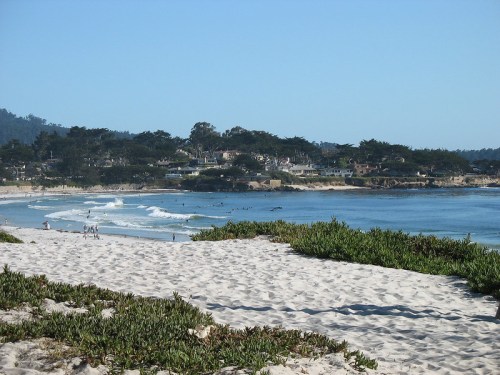 A serene beach scene with gentle waves, sandy shore, and lush greenery under a clear blue sky.