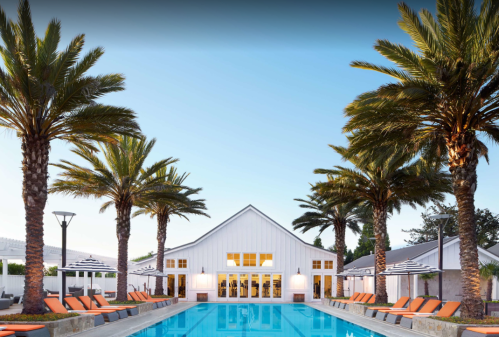 A serene pool area with palm trees and lounge chairs, featuring a modern white building in the background under a clear sky.