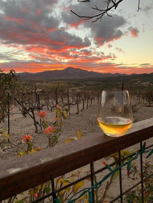 A glass of wine sits on a railing, overlooking a vineyard at sunset with vibrant clouds and distant mountains.