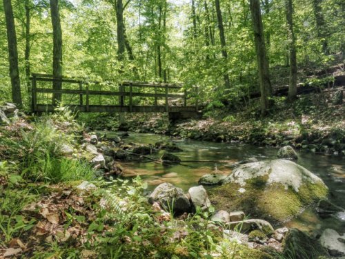 A serene forest scene featuring a wooden bridge over a clear stream, surrounded by lush green trees and rocks.