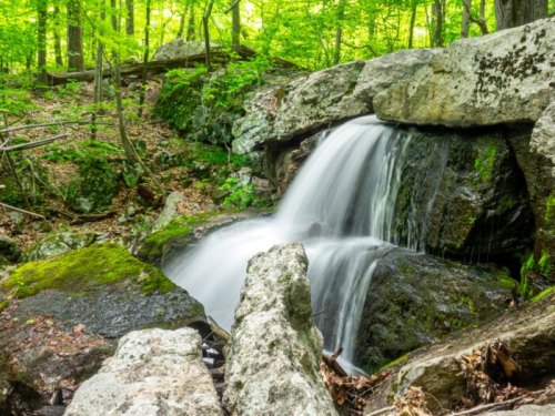 A serene waterfall cascades over moss-covered rocks in a lush green forest.