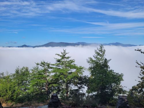 A scenic view of mountains peeking through a thick layer of clouds, framed by green trees under a blue sky.