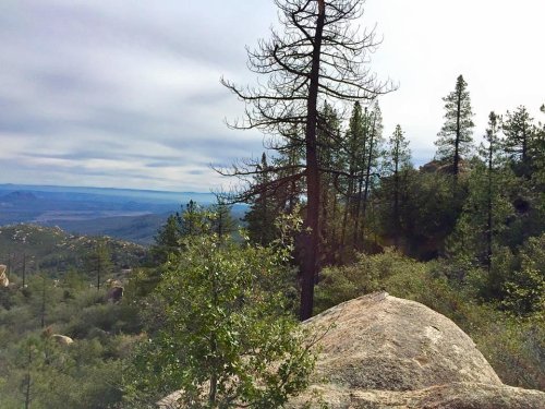 A scenic view of a mountainous landscape with trees, rocky terrain, and a cloudy sky in the background.