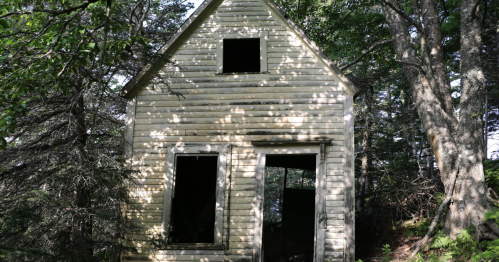 Abandoned wooden house with a peaked roof, surrounded by trees and dappled sunlight filtering through the leaves.