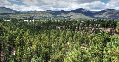 Lush green pine trees cover a valley, with mountains and a cloudy sky in the background.