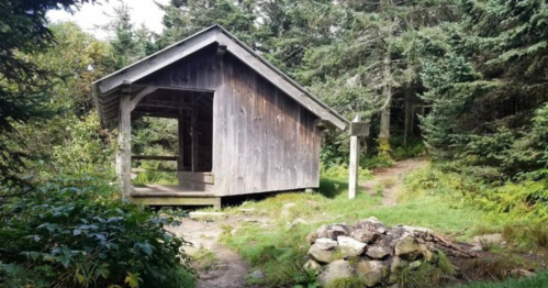 A rustic wooden shelter surrounded by trees, with a path leading into the forest and a stone fire pit in front.